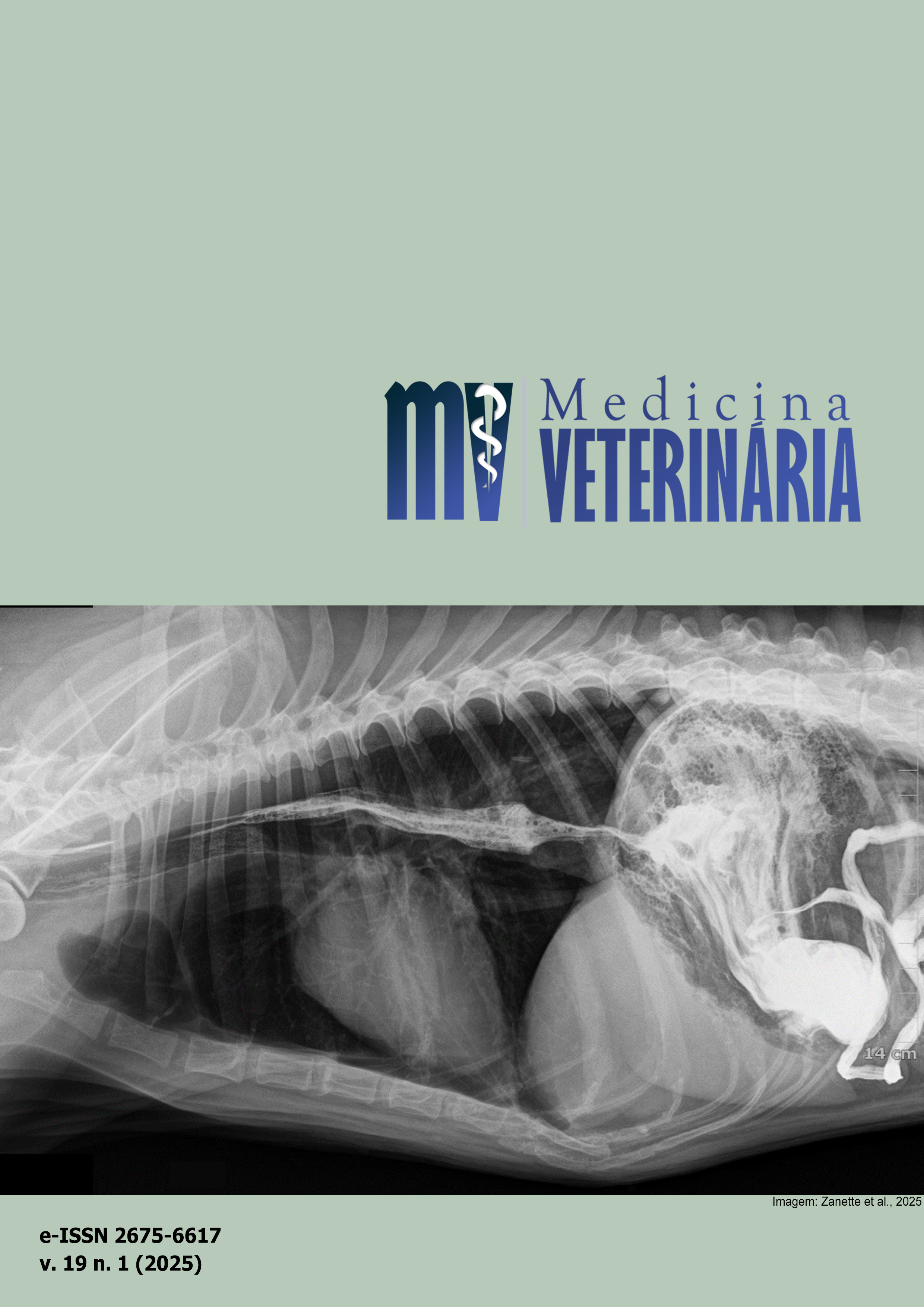 					Visualizar v. 19 n. 1 (2025): Medicina Veterinária
				