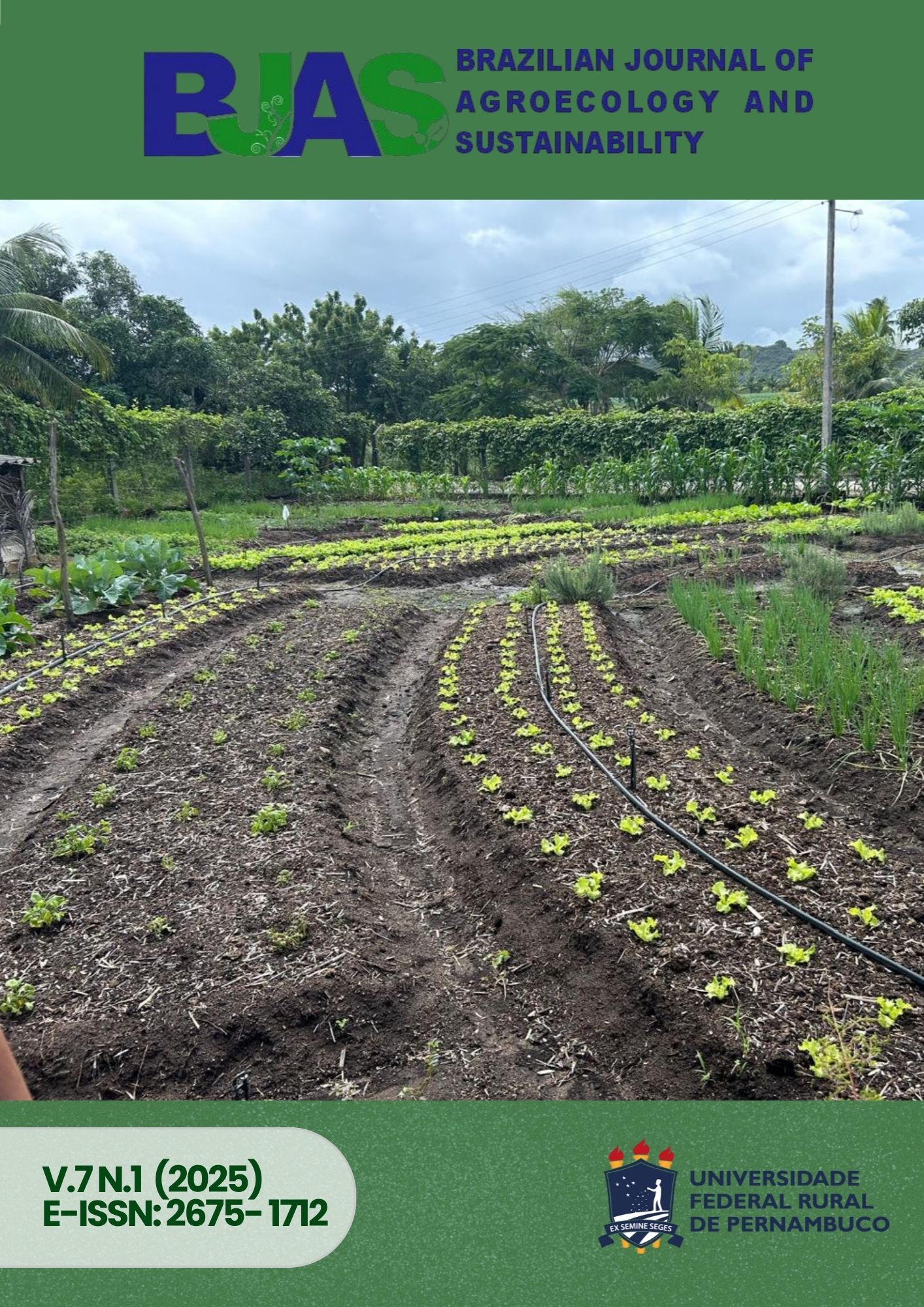 					View Vol. 7 No. 1 (2025): Brazilian Journal of Agroecology and Sustainability 
				